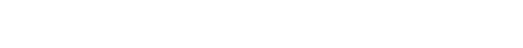Business overview